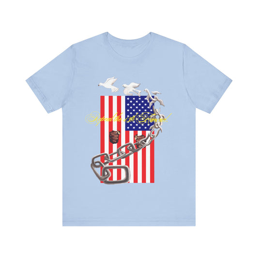 Repeal the 13th Amend.: Unisex Jersey Short Sleeve Tee