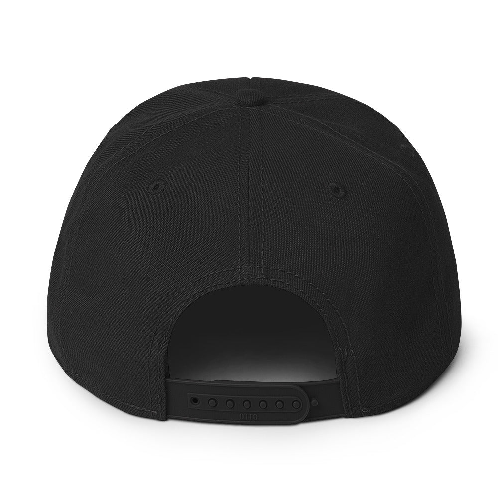 Educated Black Man: Snapback Hat